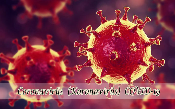 Dünyanın en büyük felaketlerinden koronavirüs